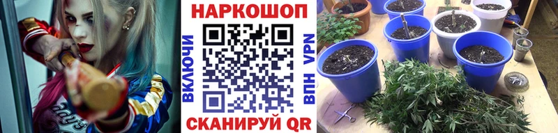 Купить наркотики Псков ГАШИШ АМФ Меф Альфа ПВП