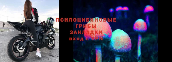 jwh Бородино