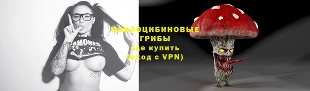 jwh Бородино