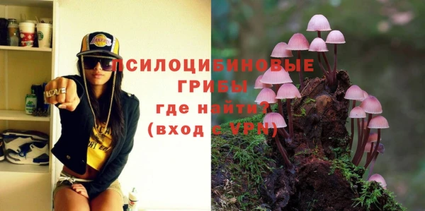 герыч Бугульма