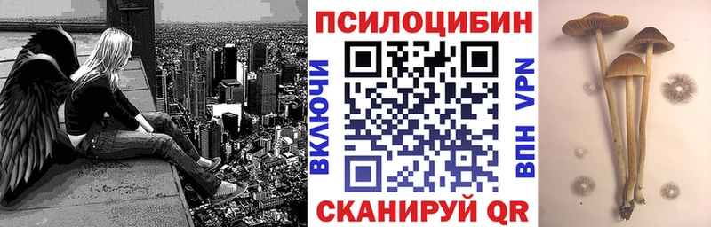 Галлюциногенные грибы ЛСД  закладка  Псков 